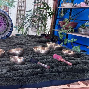 sound-uinstruments-for-healing-set-up-sun-room-image-2